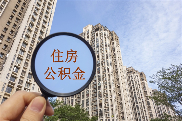 射阳辞职了公积金怎么样才能取出来（辞职了住房公积金怎么全部取出来）